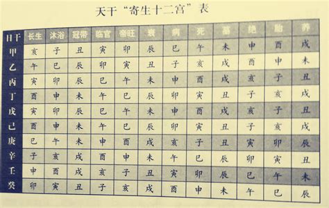 元亨利貞八字排盤系統